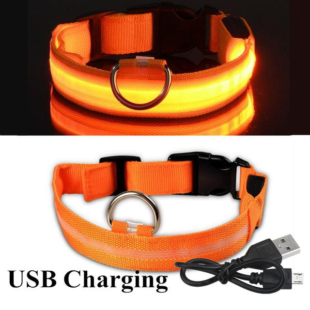 LED Glowing Dog Collar Rechargeable Luminous Collar Adjustable large Dog Night Light Collar Pet Safety Collar for Small Dogs Cat