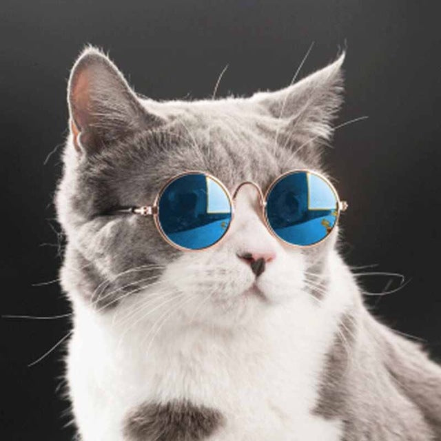 Pet Products Lovely Vintage Round Cat Sunglasses Reflection Eye wear glasses For Small Dog Cat Pet Photos Props Accessories