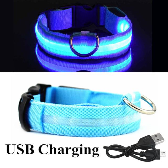 LED Glowing Dog Collar Rechargeable Luminous Collar Adjustable large Dog Night Light Collar Pet Safety Collar for Small Dogs Cat